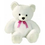 Teddy 6inch