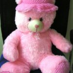Teddy 18inch