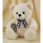 Teddy 18inch