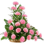 Carnations Arrangement