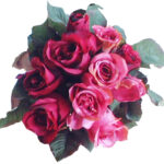 Pink Roses bunch