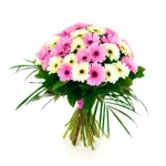 white and Pink bunch