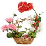 Lilium With Orchids Arrangement