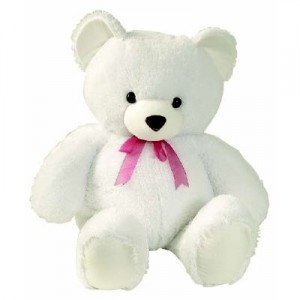 Teddy 6inch