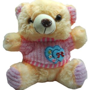 Teddy 6inch