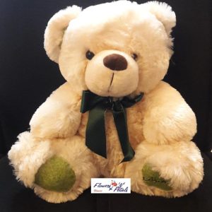 Teddy 12inch