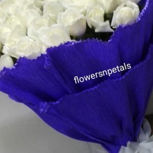 50 White Roses Bunch With 2 layer  Blue Paper Packing