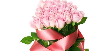 Pink Roses bunch